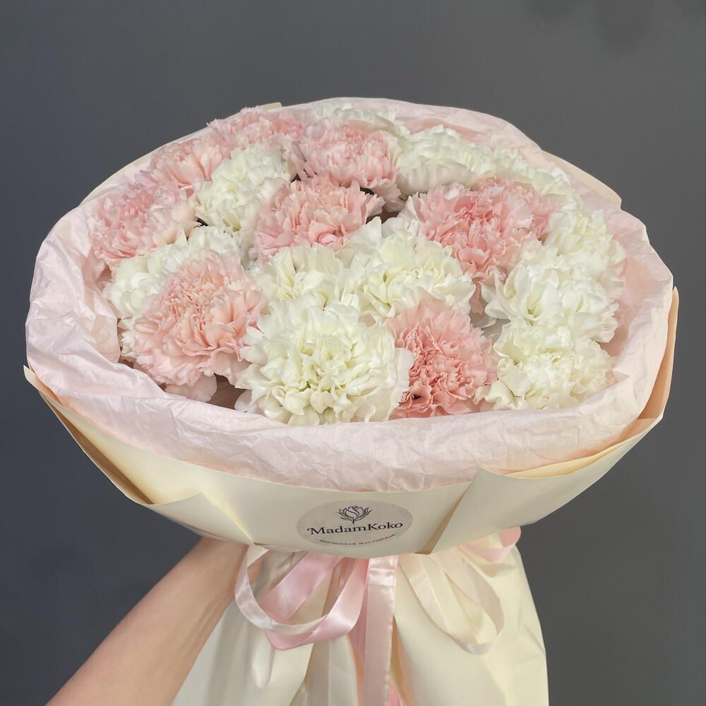 Милые диантусы 🍦🌸
