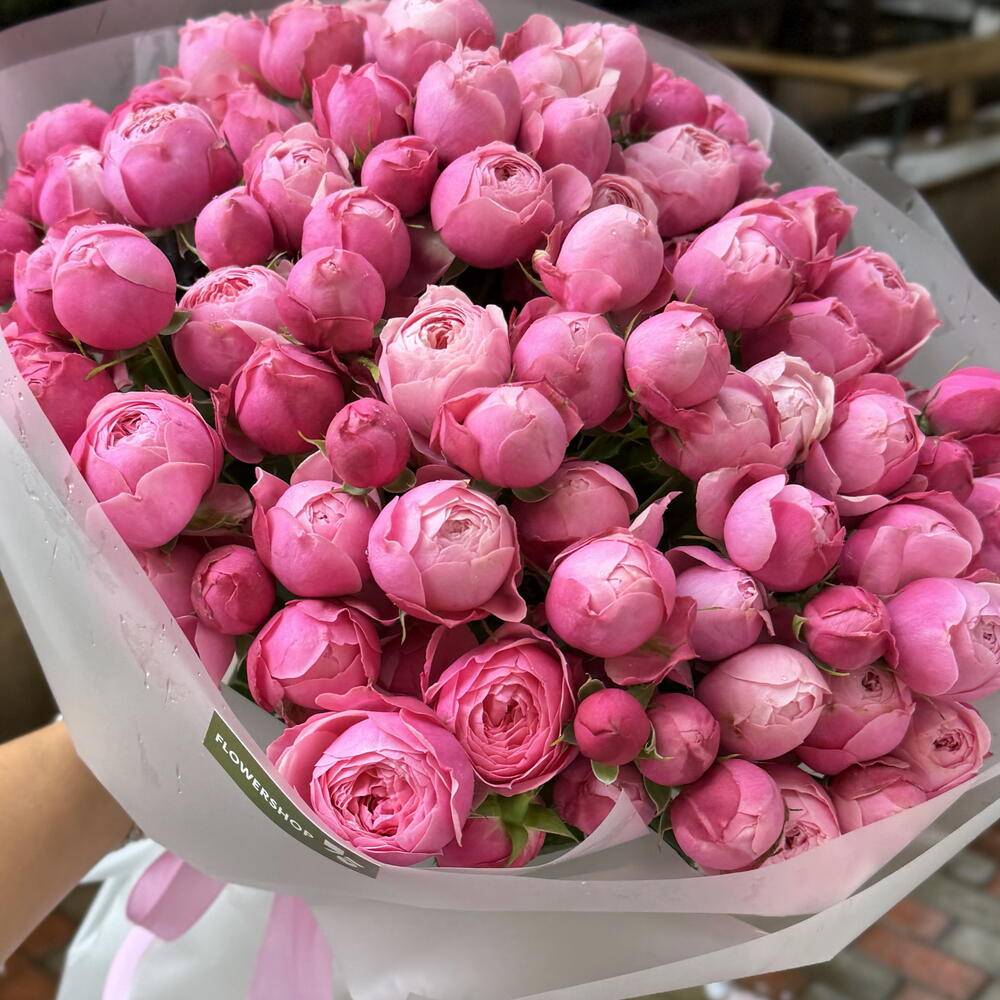Rose Silva Pink