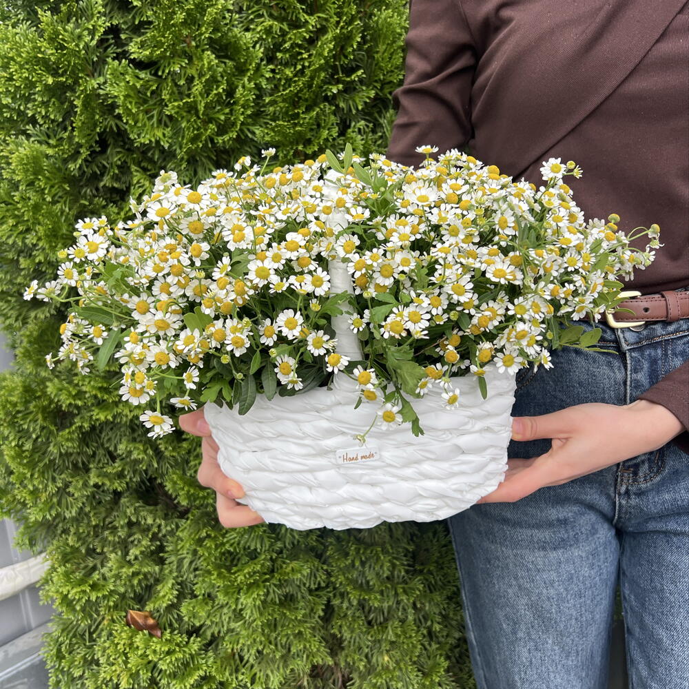 Корзина Матрикари 💐💐💐