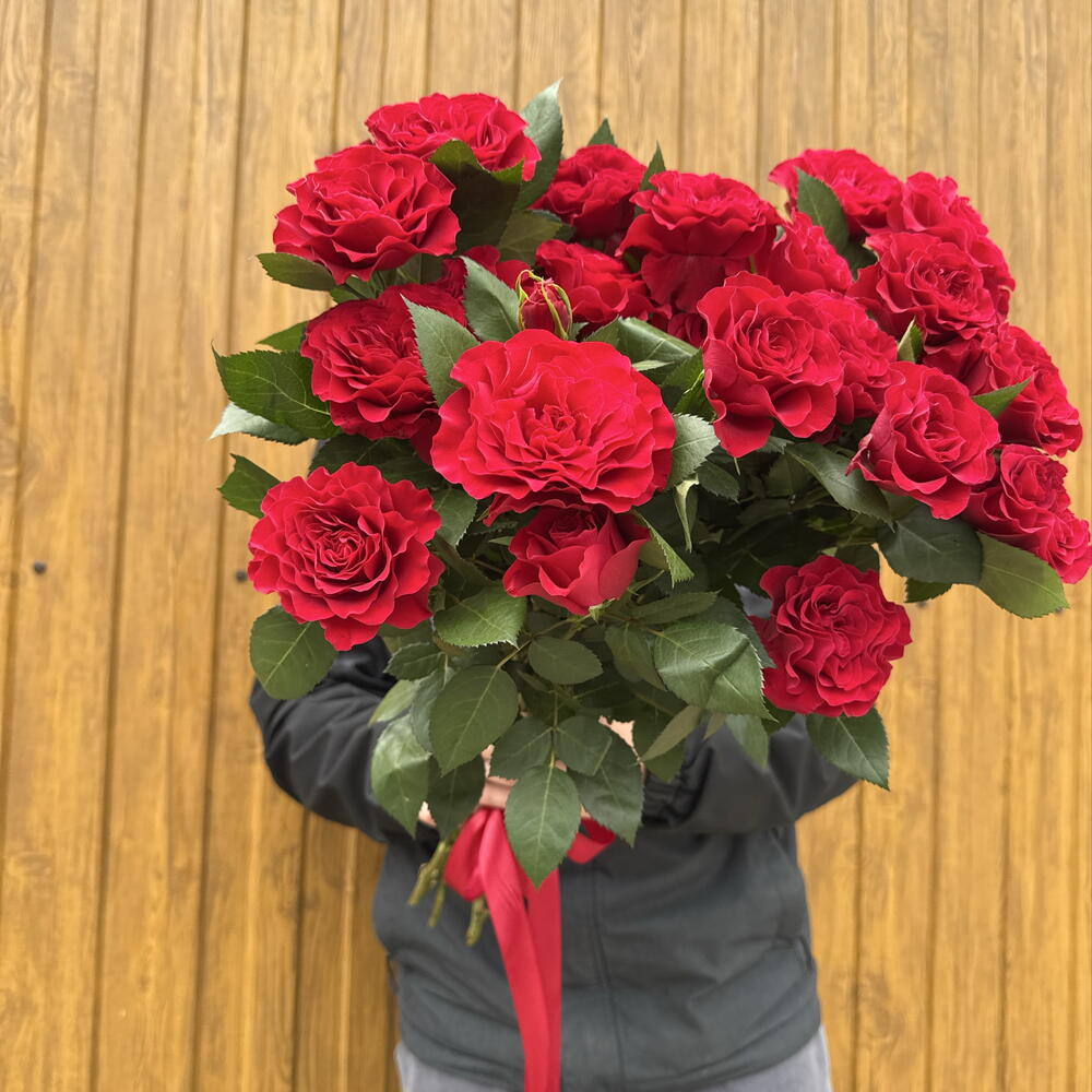 Кустовые розы алые ♥️♥️♥️