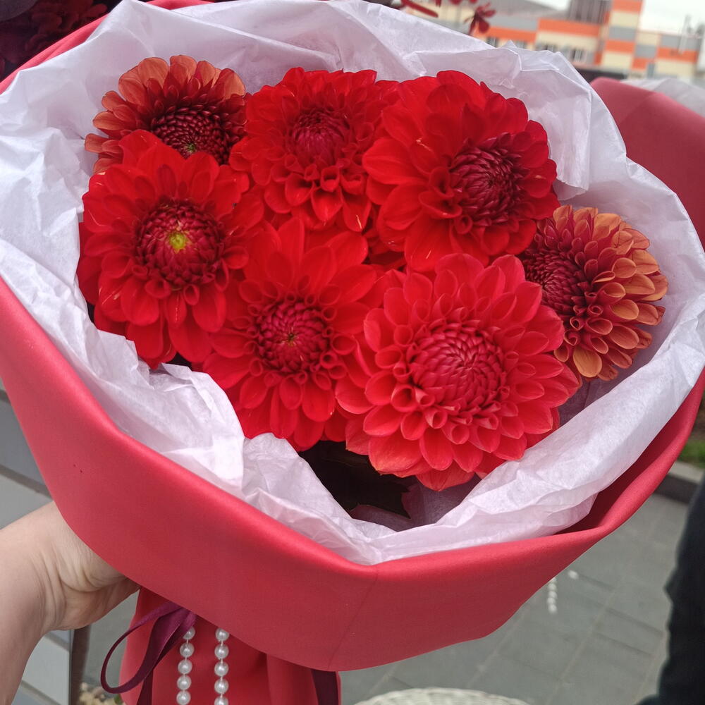Роковые чувства ♥️Георгины  Букет с георгинами 🥰Любовь моя