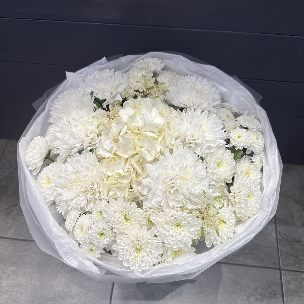 Снежок