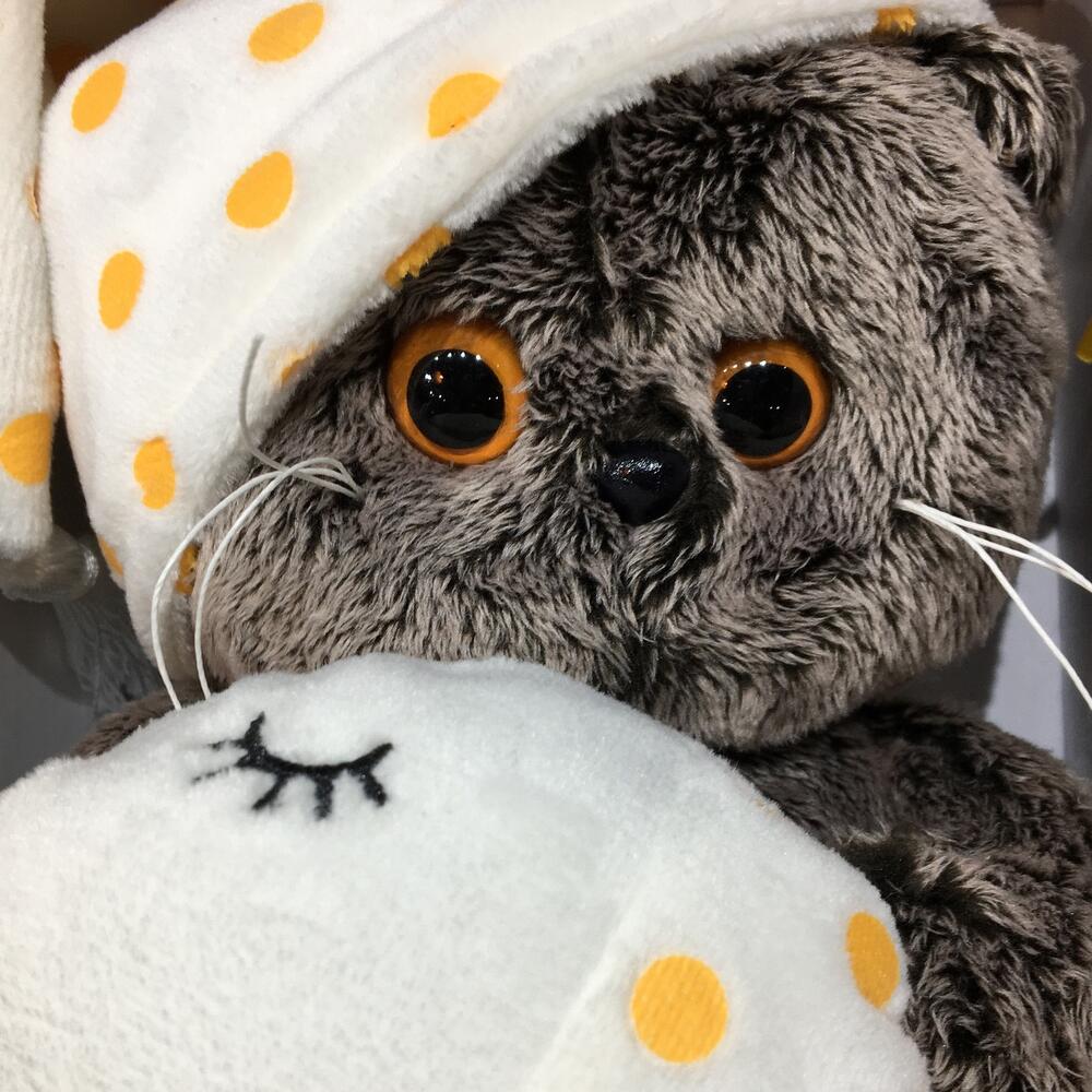 Кот Басик Бэби