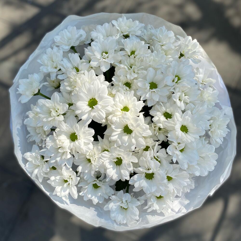 Букет ромашек