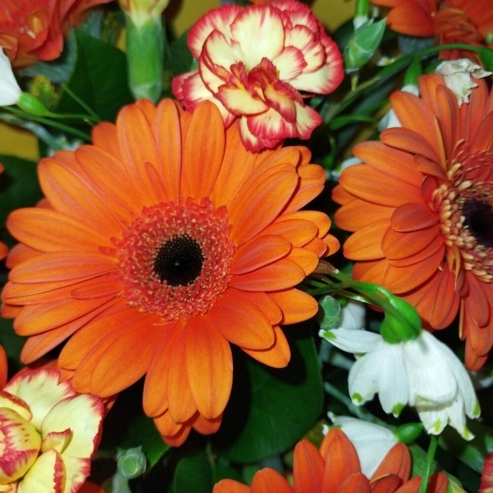 Яркий букетик с Герберами