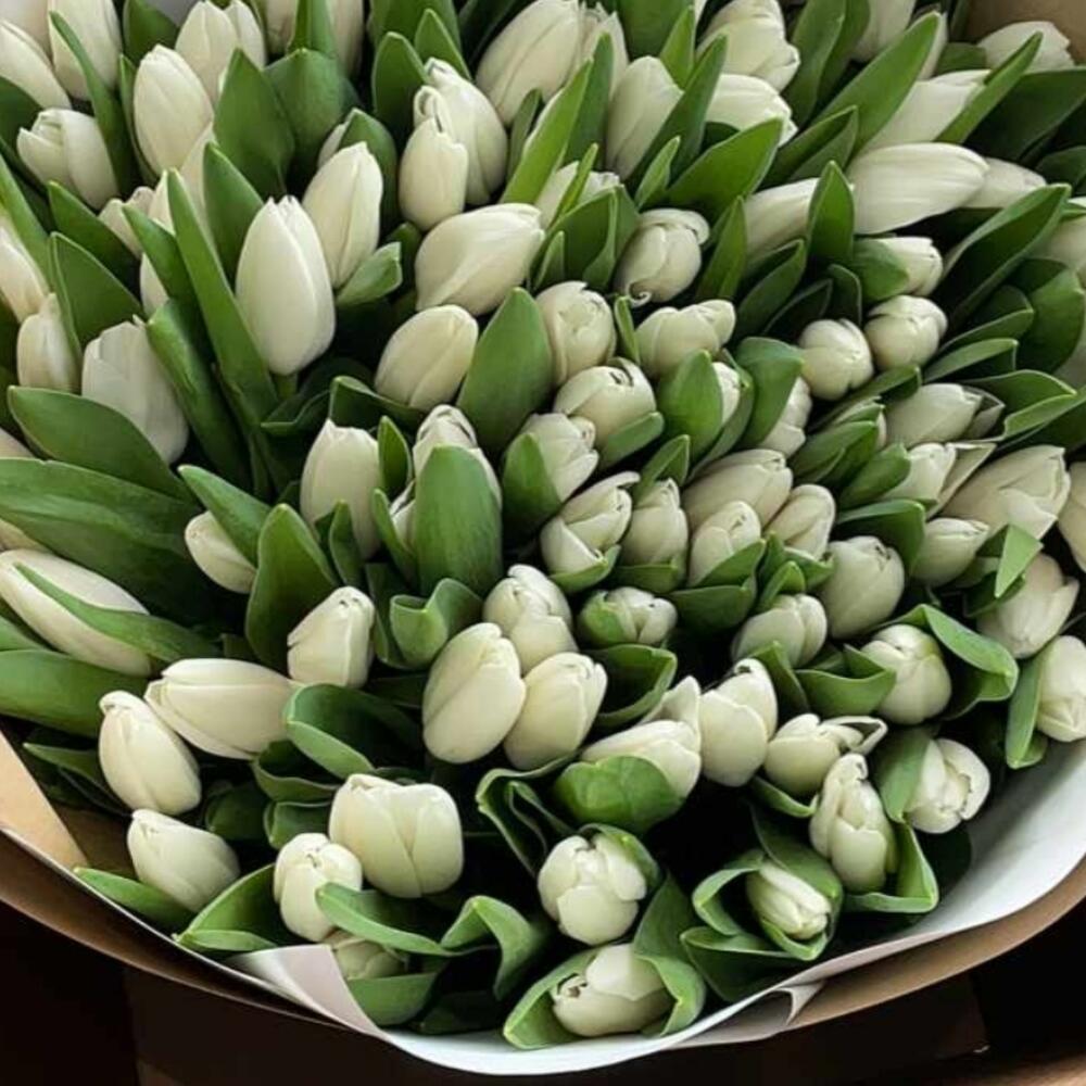 Букет из белых тюльпанов