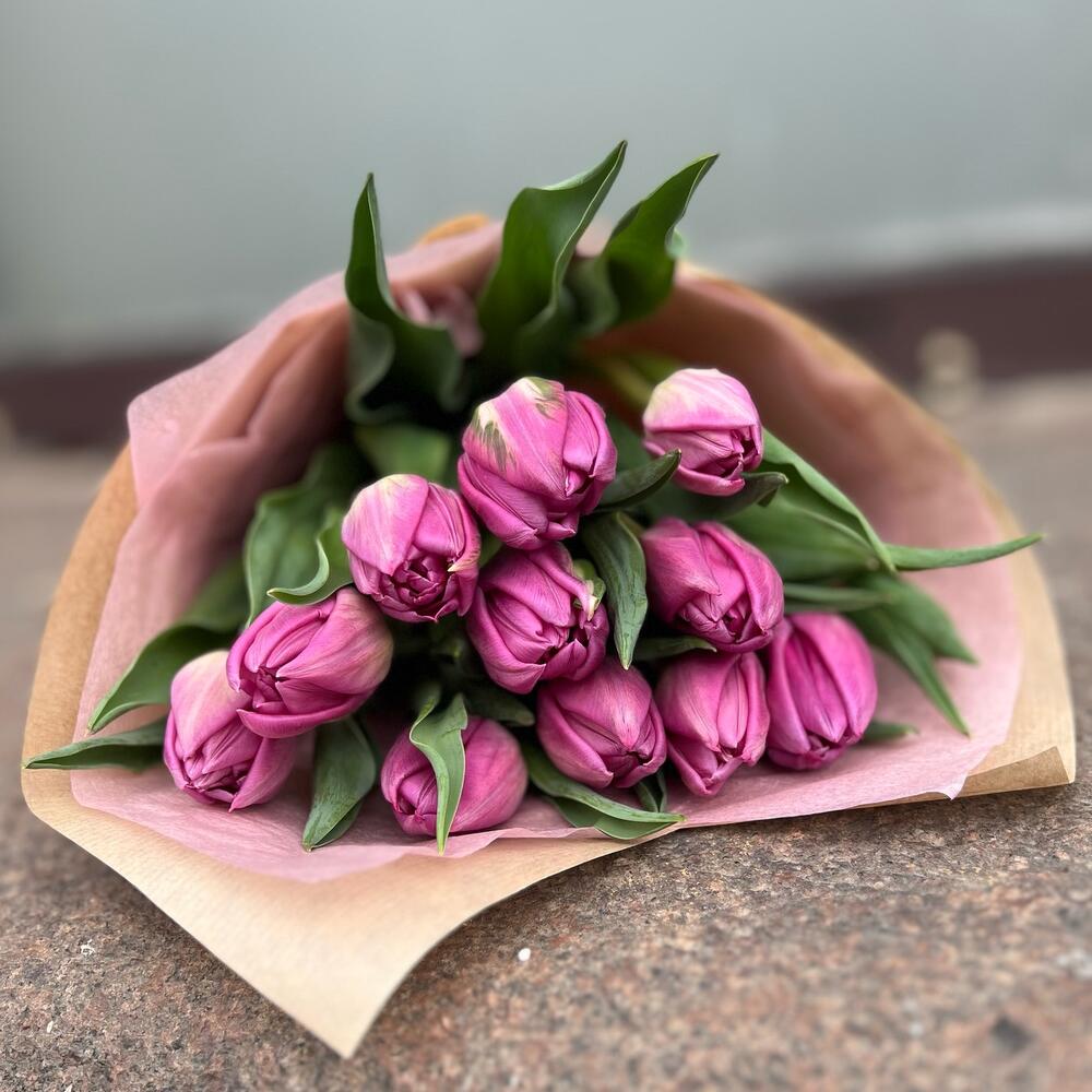 Тюльпан ,,комплимент,,🌷
