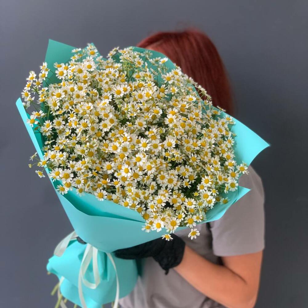 Охапка ромашек