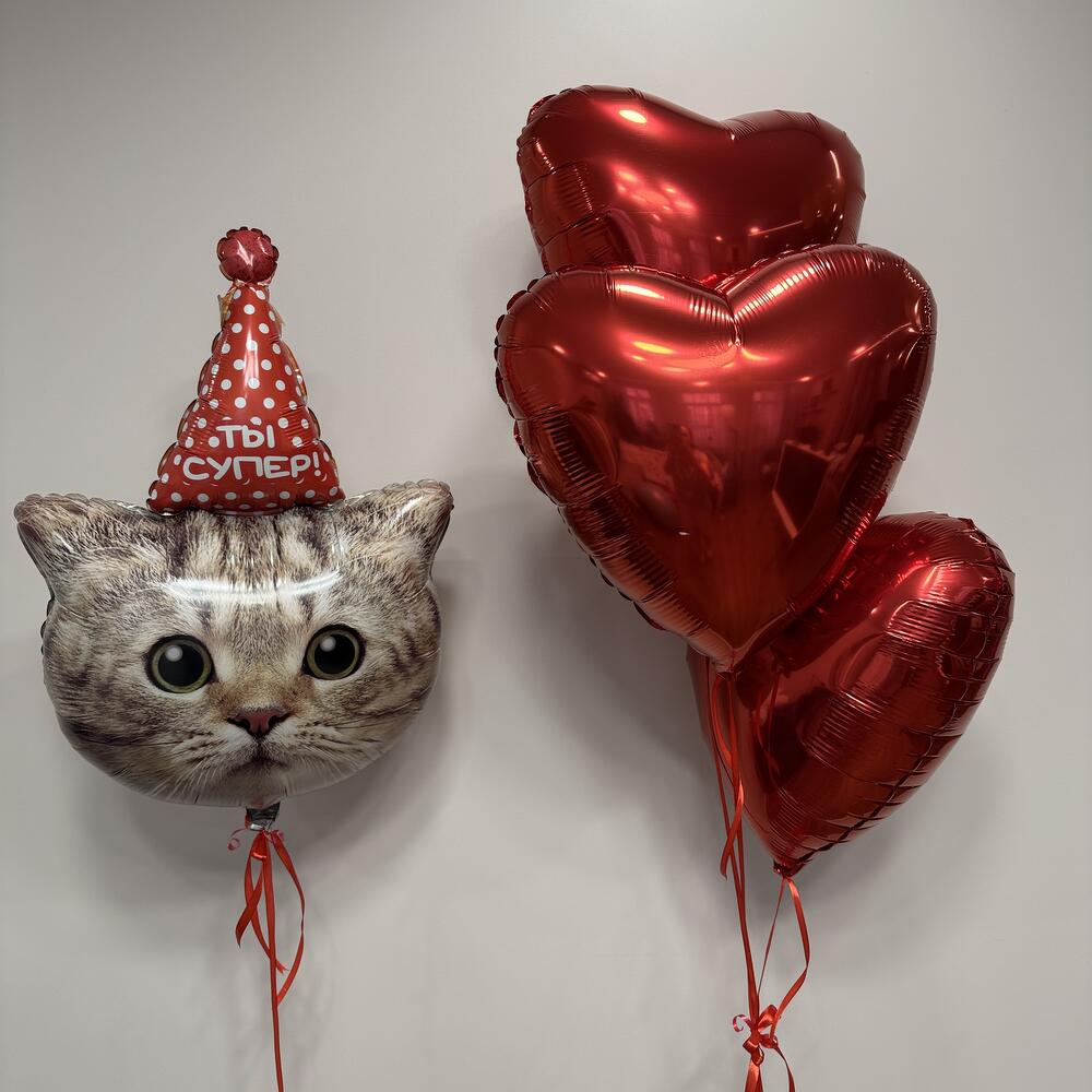 Набор шаров с котом, 4 шара