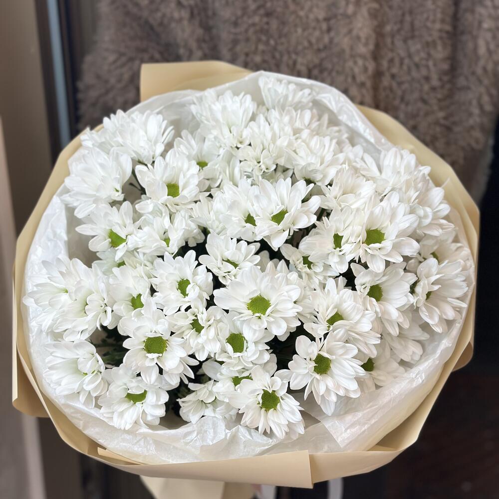 Bouquet of daisies