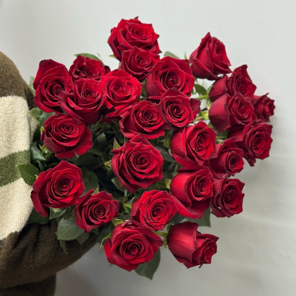 Bouquet of 25 explorer roses