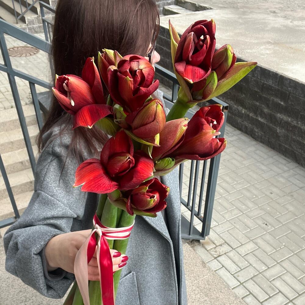 Интерьерный букет амараллисов
