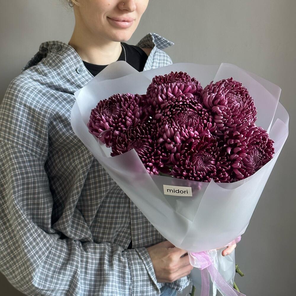 Хризантема «Бигуди» 7 🍇