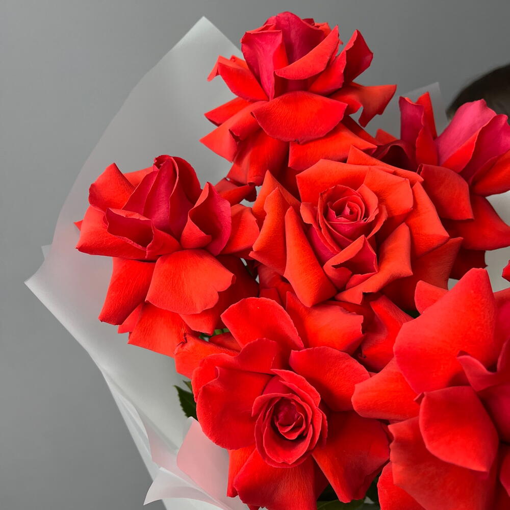 Ароматные  французские Розы 🥀