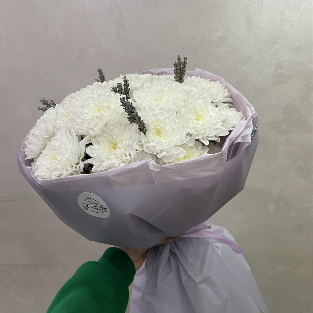 Прованс