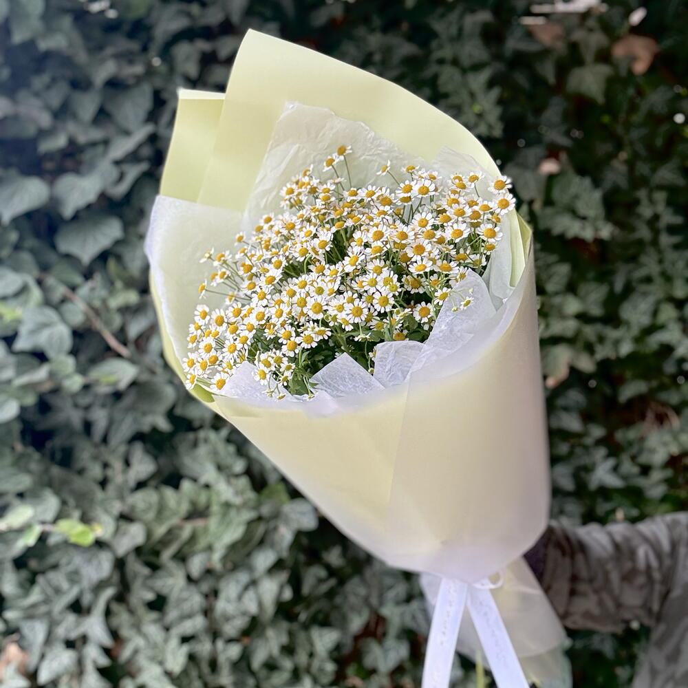 Букет ароматных маленьких ромашек 💛