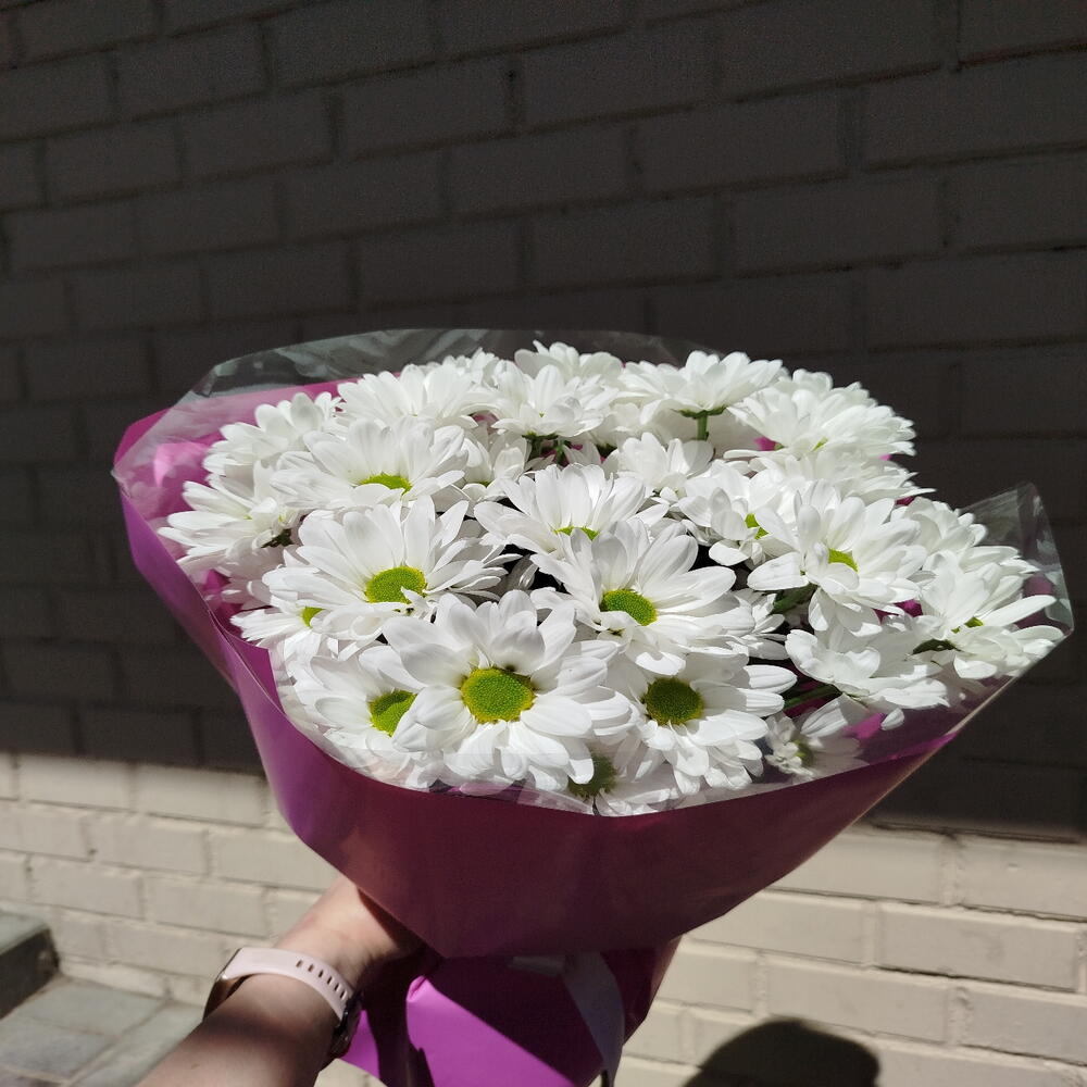 Утренние ромашки