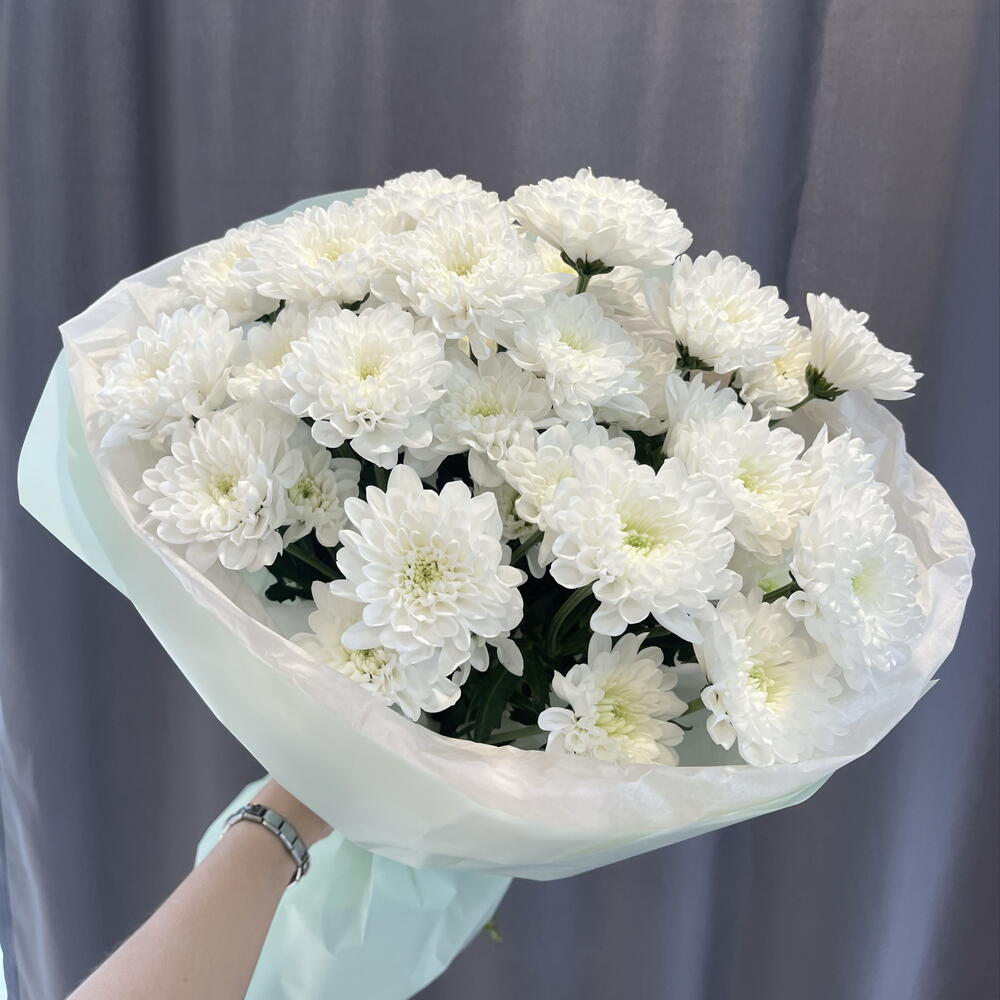 5 кустовых хризантем