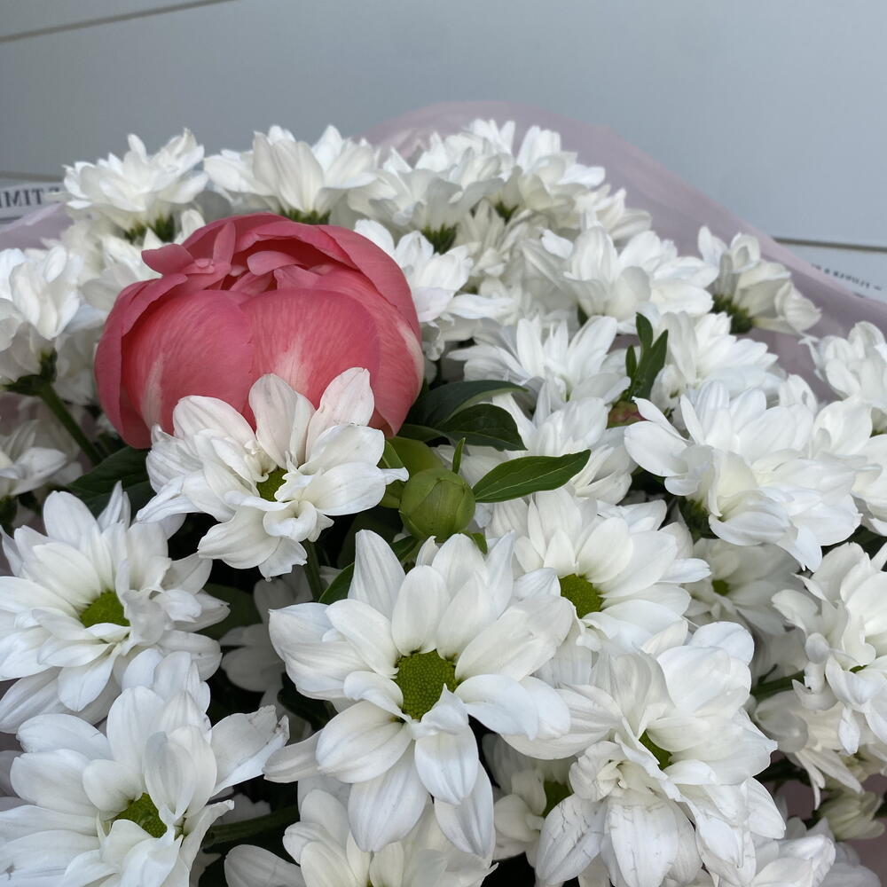 Яркий пион в окружении