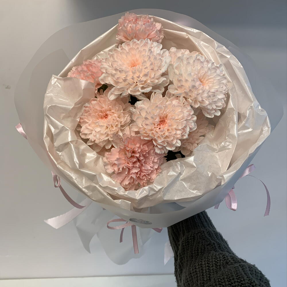 Soft Coral