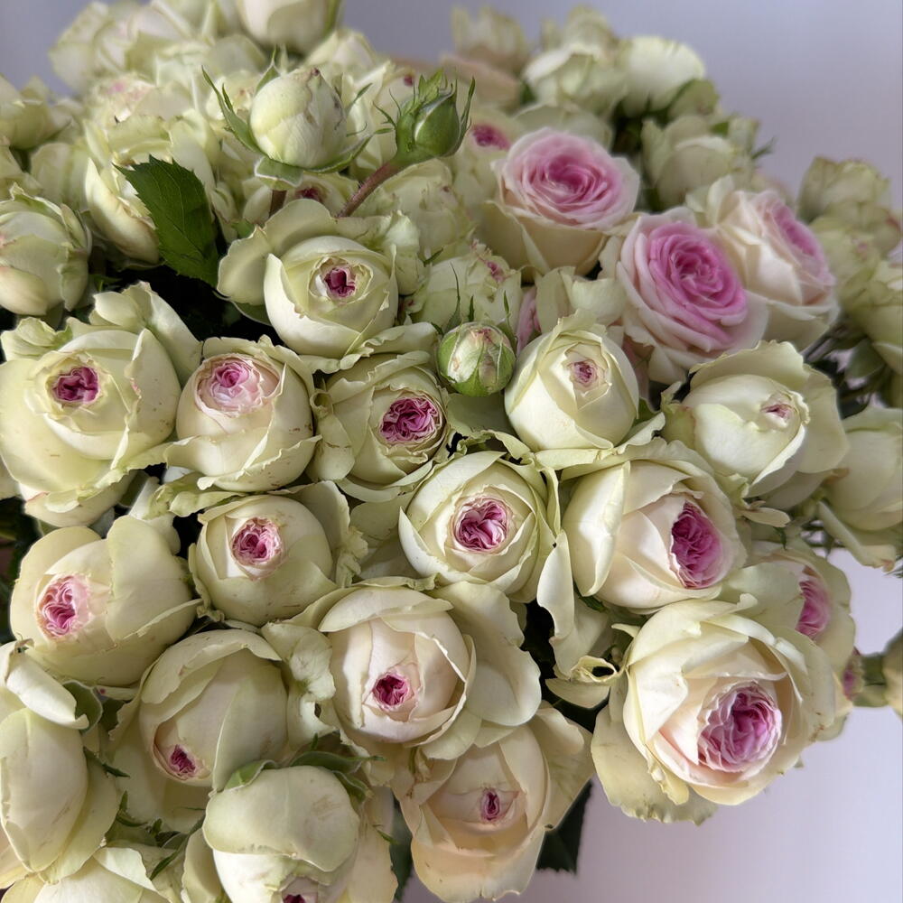 Ready made Gelato bouquet