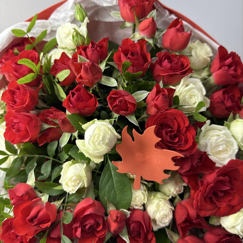 День знаний 22