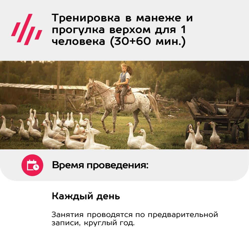 Подарочный сертификат Тренировка в манеже и прогулка верхом для 1 человека (30+60 мин.)