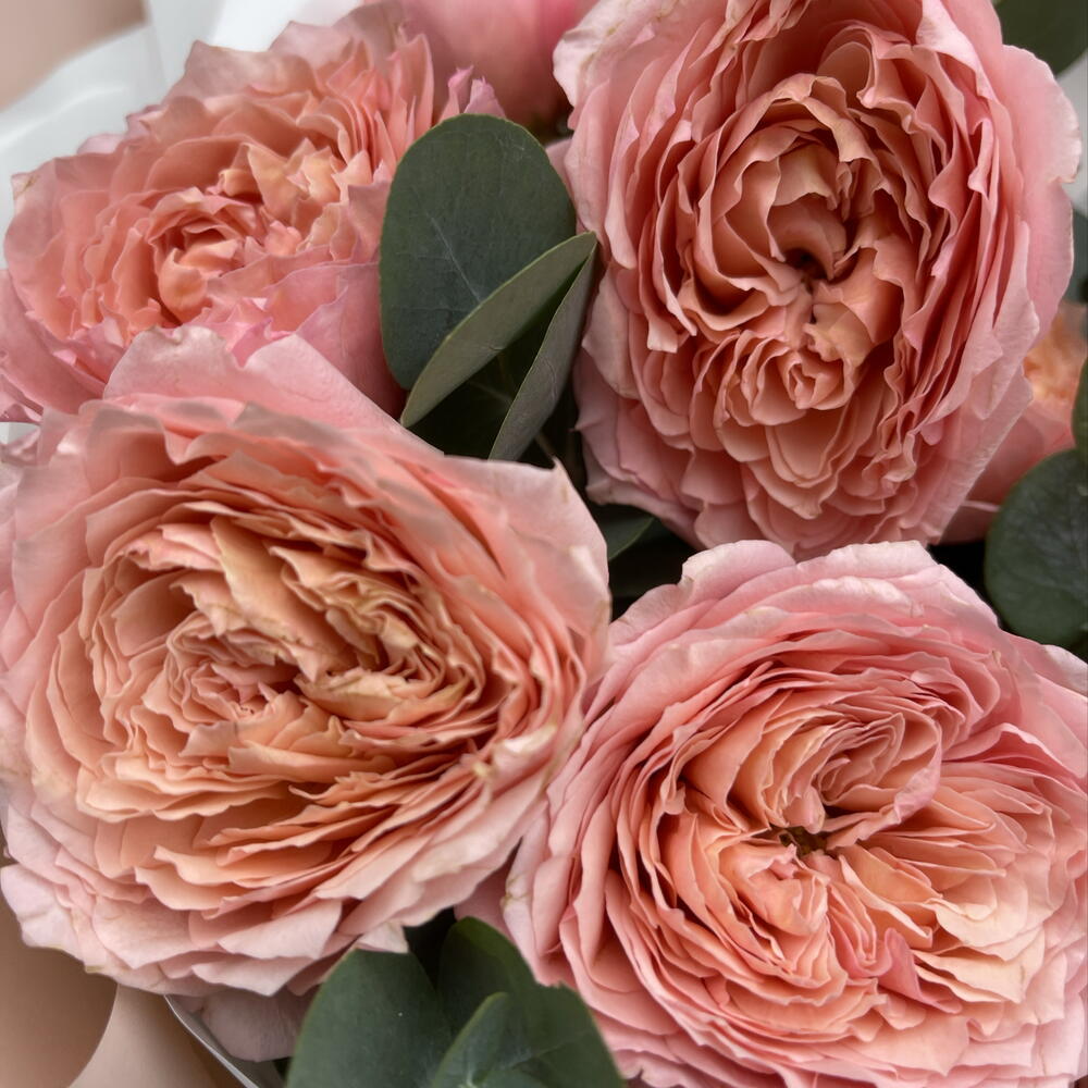 Букет⭐️🎀 «Драгоценный момент» из кустовых пион роз