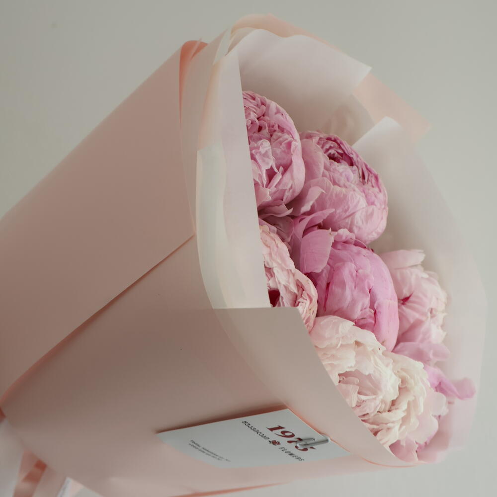 Peony breeze