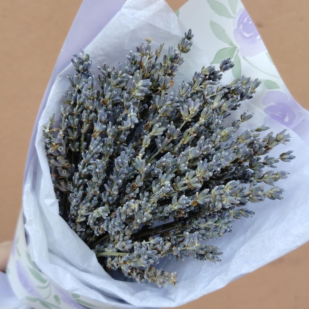 Ramillete De Lavanda
