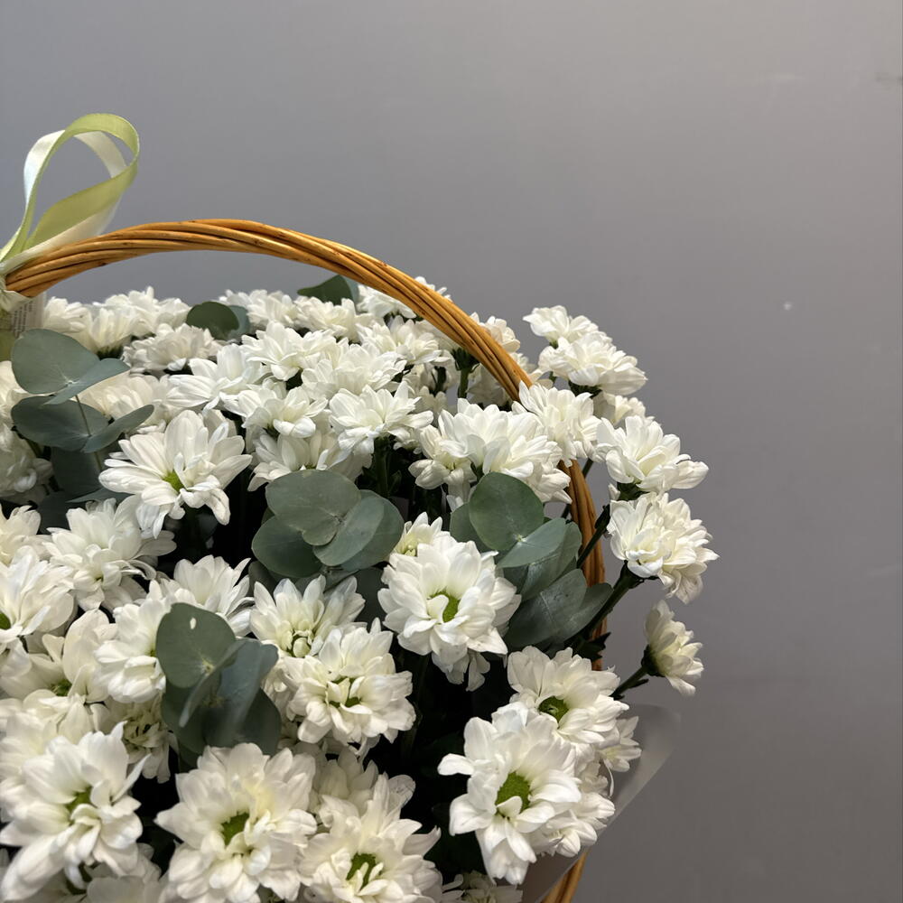 Композиция 12548