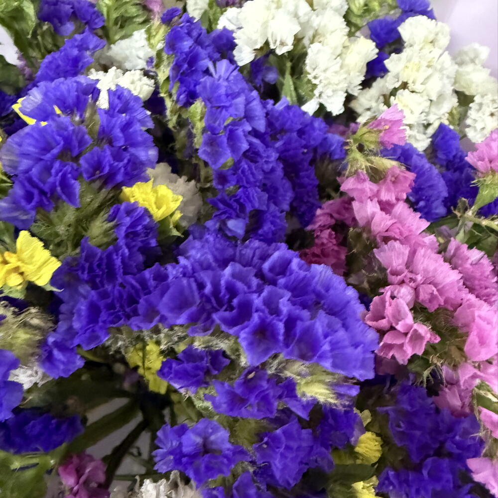 Букет из статицы