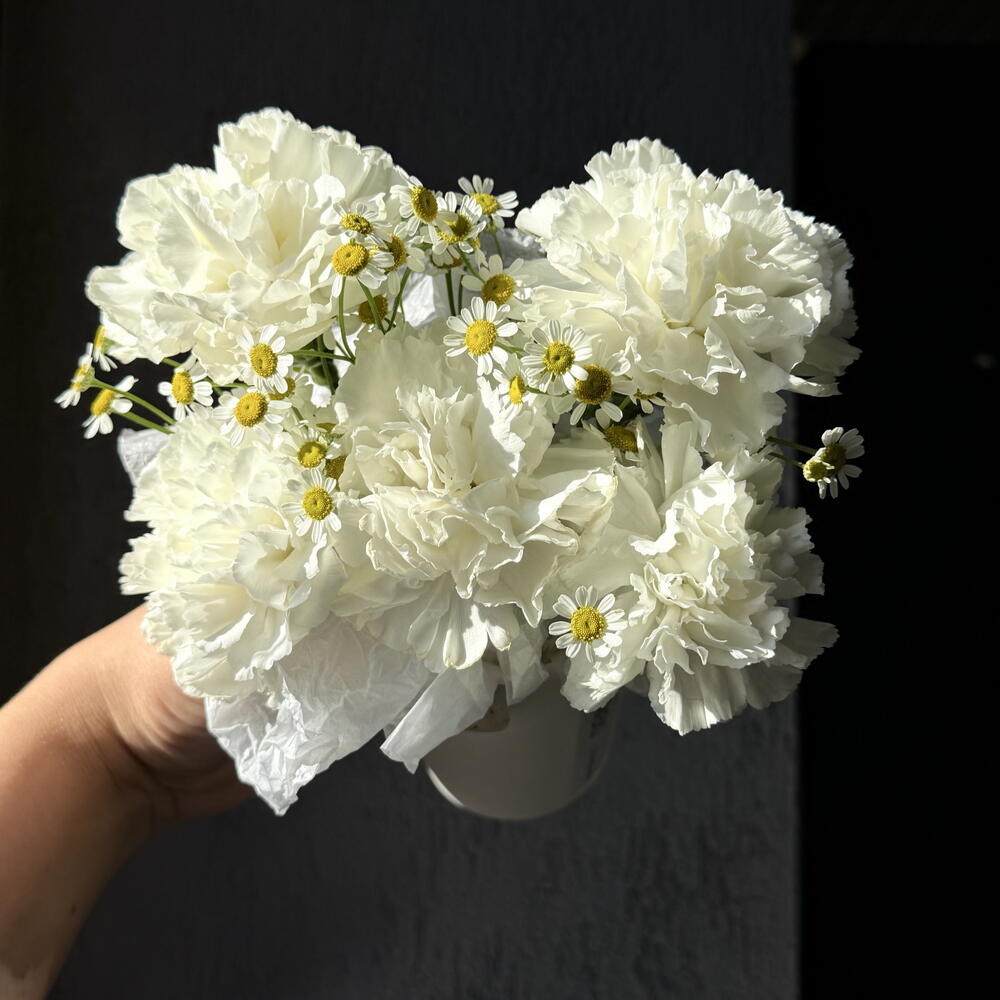Комплимент цветочный \ белый и зефирный / диантусы