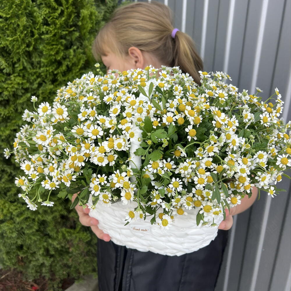 Матрикари Корзина 💐