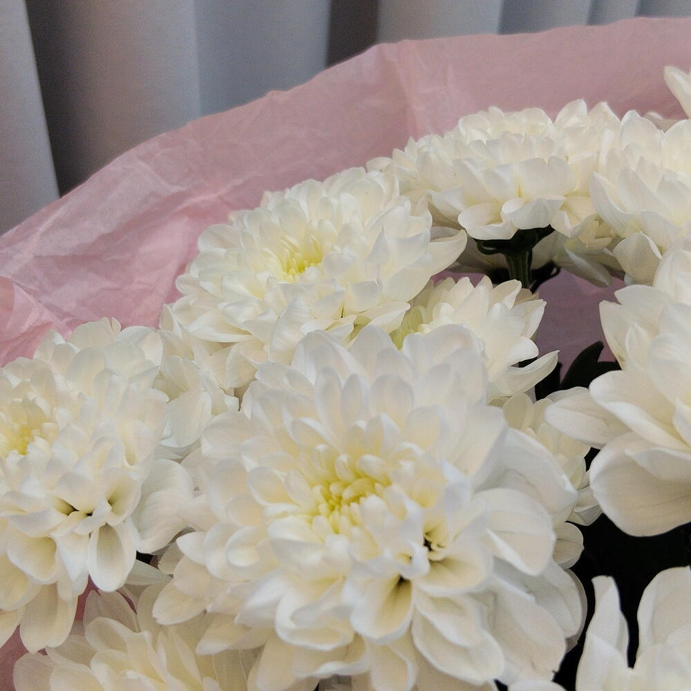 Букет хризантем 🌸