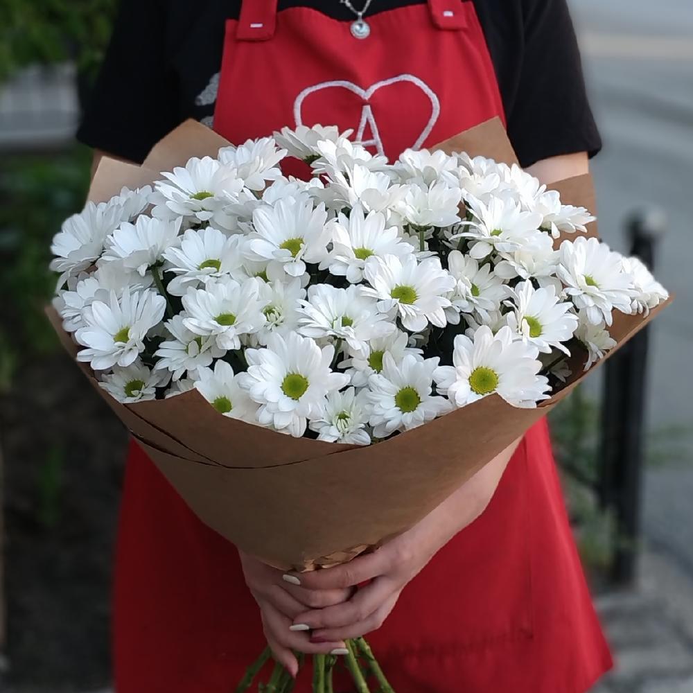 💐Ромашковое чудо Хризантема