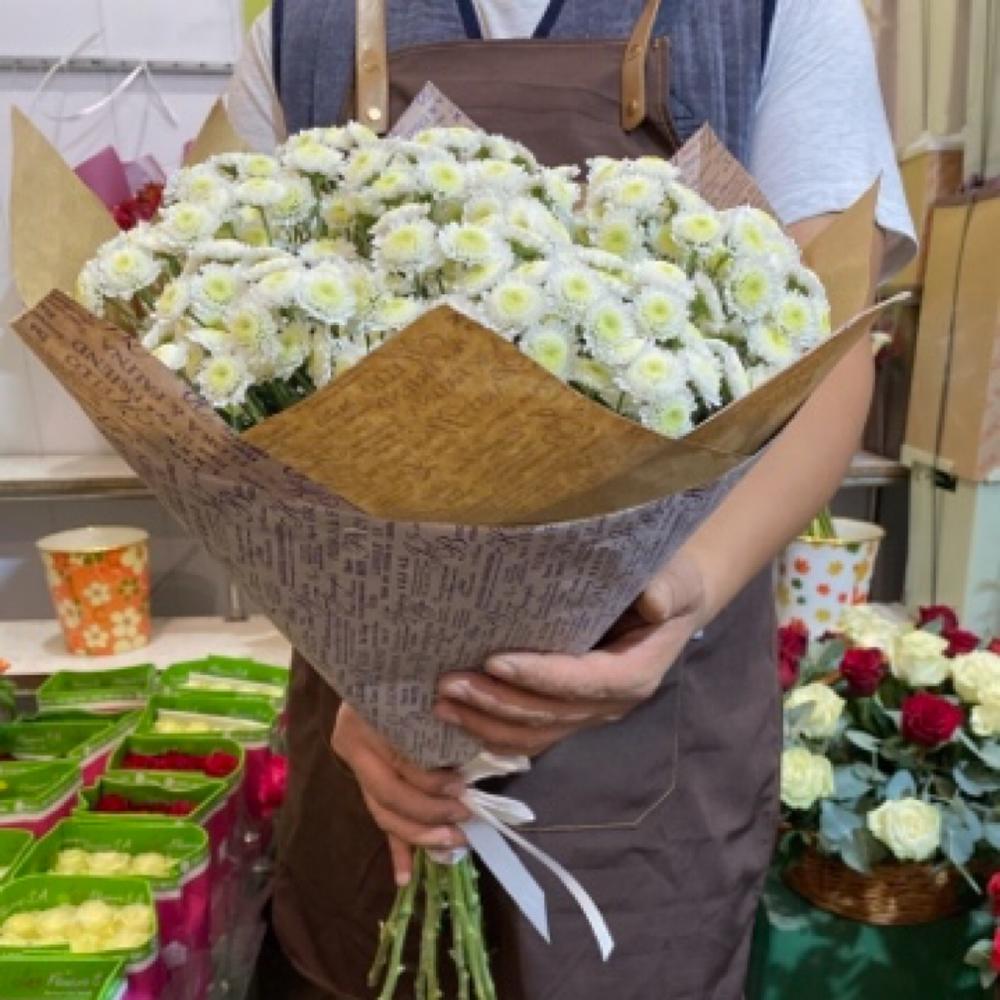 Хризантема