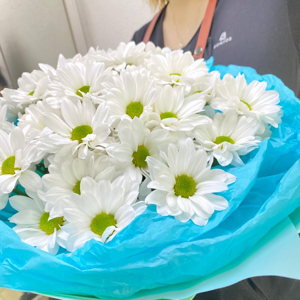 Ромашки🙏🏻💐🤩🌸😊