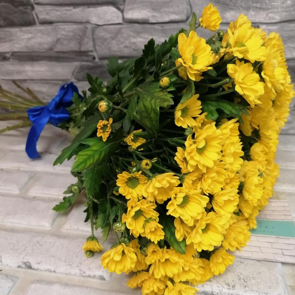 15 санииний