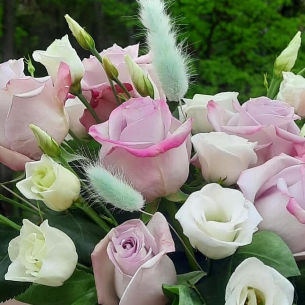 Нежность🌸