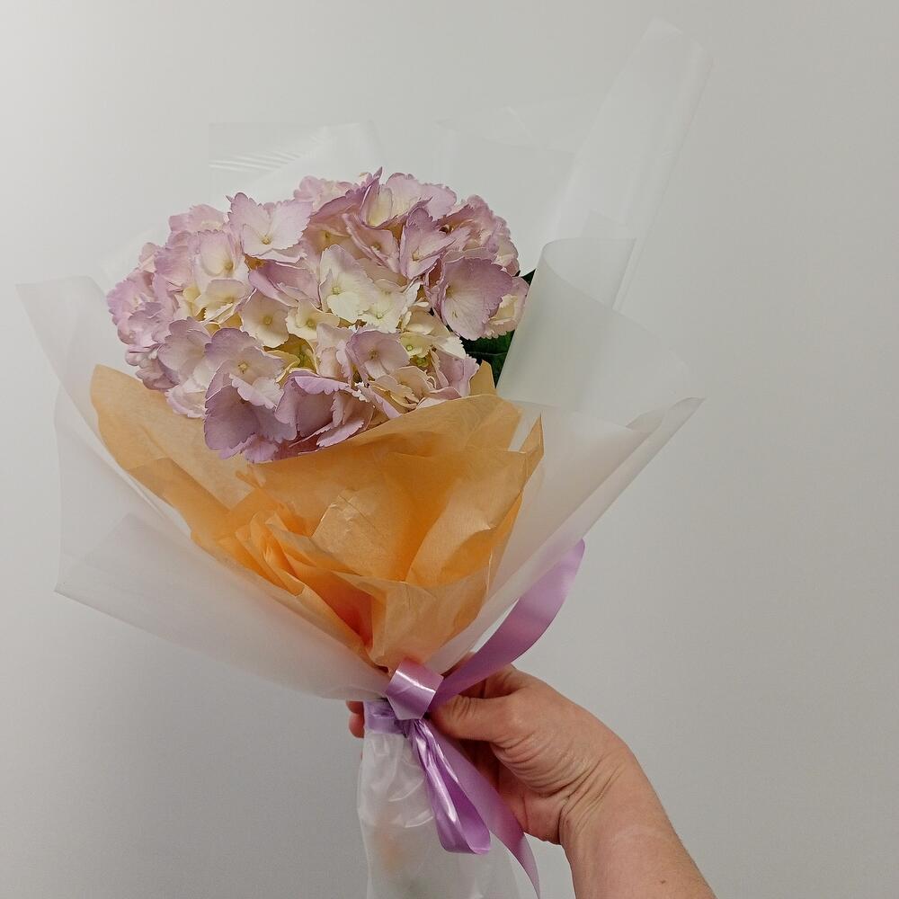 Гортензия, Цветы и подарки в Брянске, купить по цене 1120 руб ...