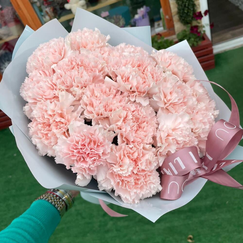 17 нежных диантусов