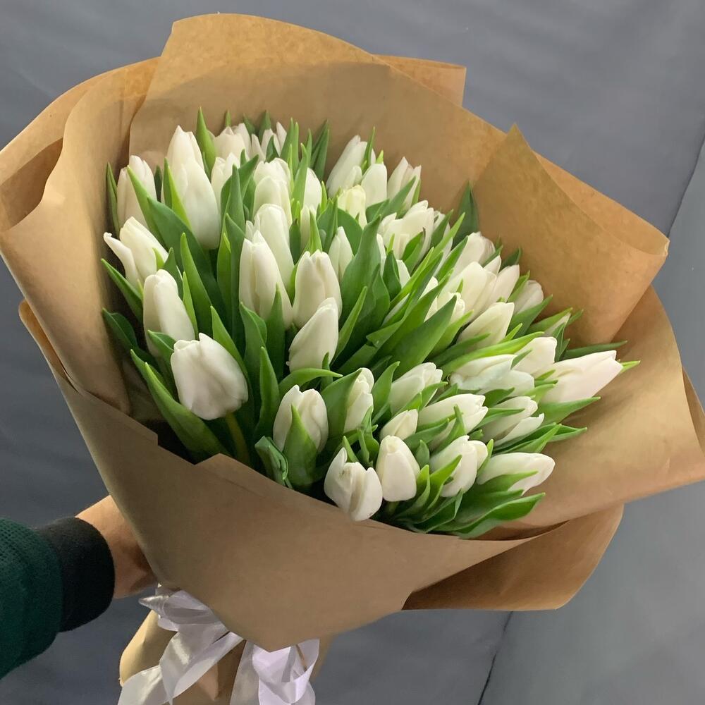 🌷 тюльпаны