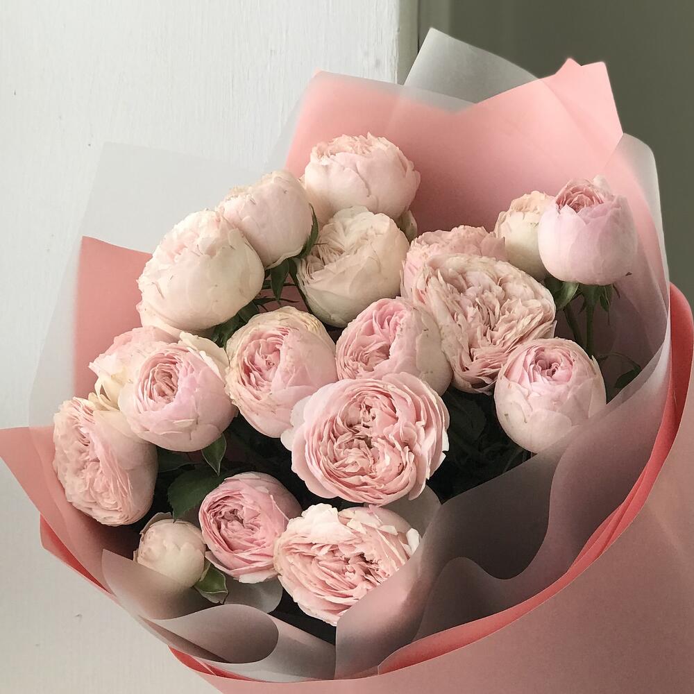 5 кустовы пионовидных роз Mansfield park букет 19 Buket flowers