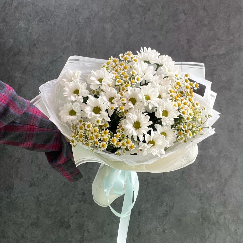 Daisies and gypsophila