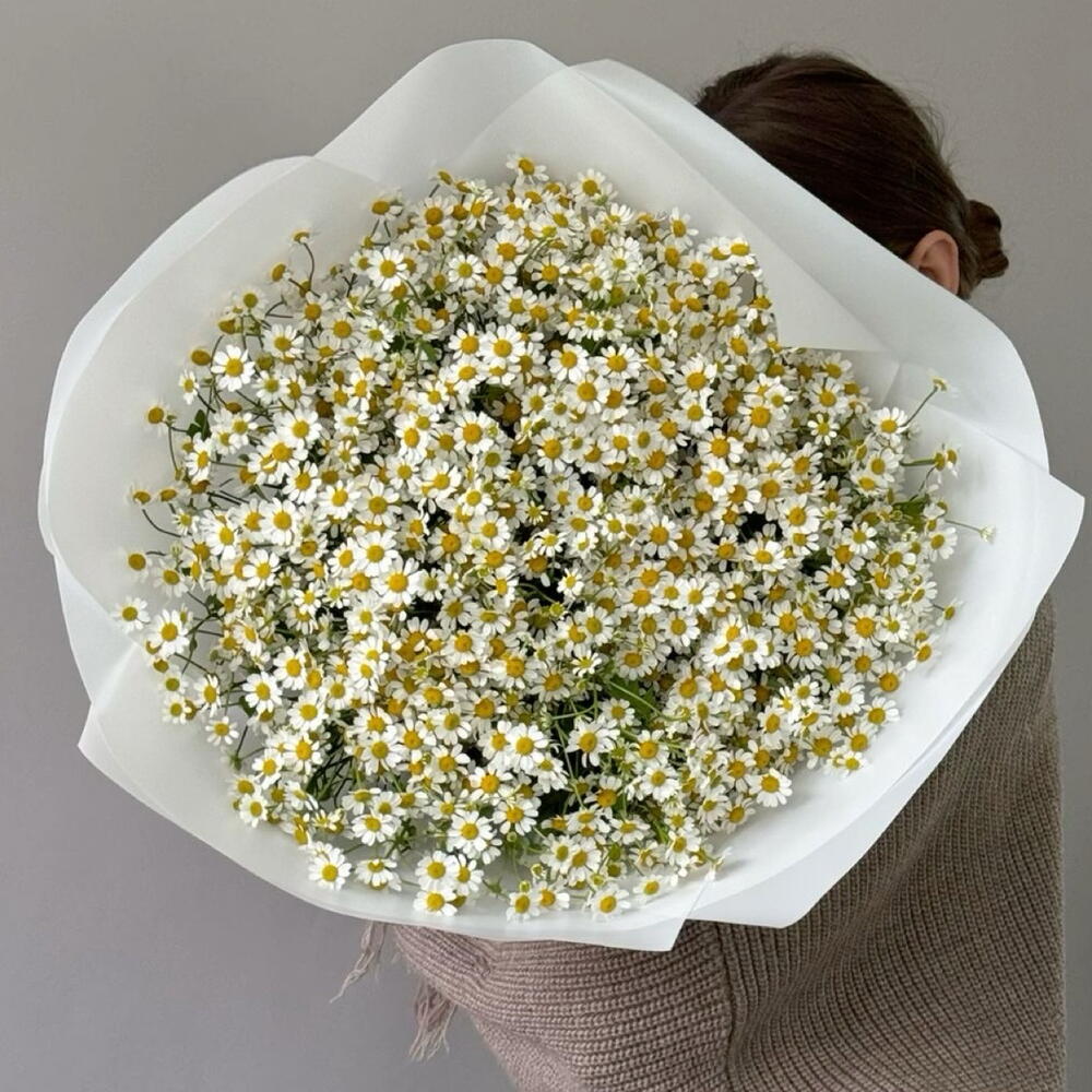 Воздушный букет из полевых ромашек 🌼