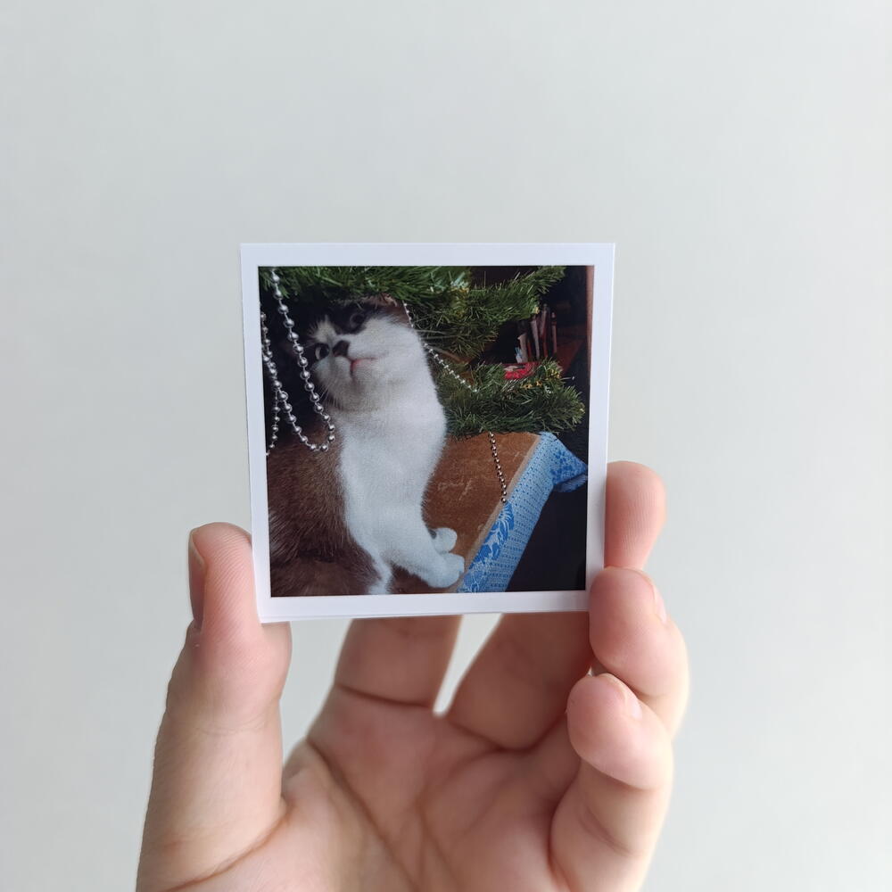 Фотография Polaroid квадрат
