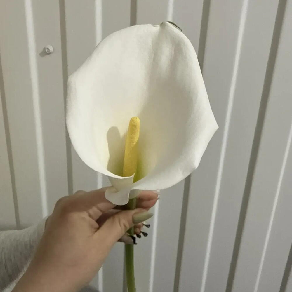 Калы