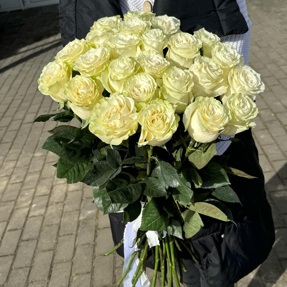 Розы