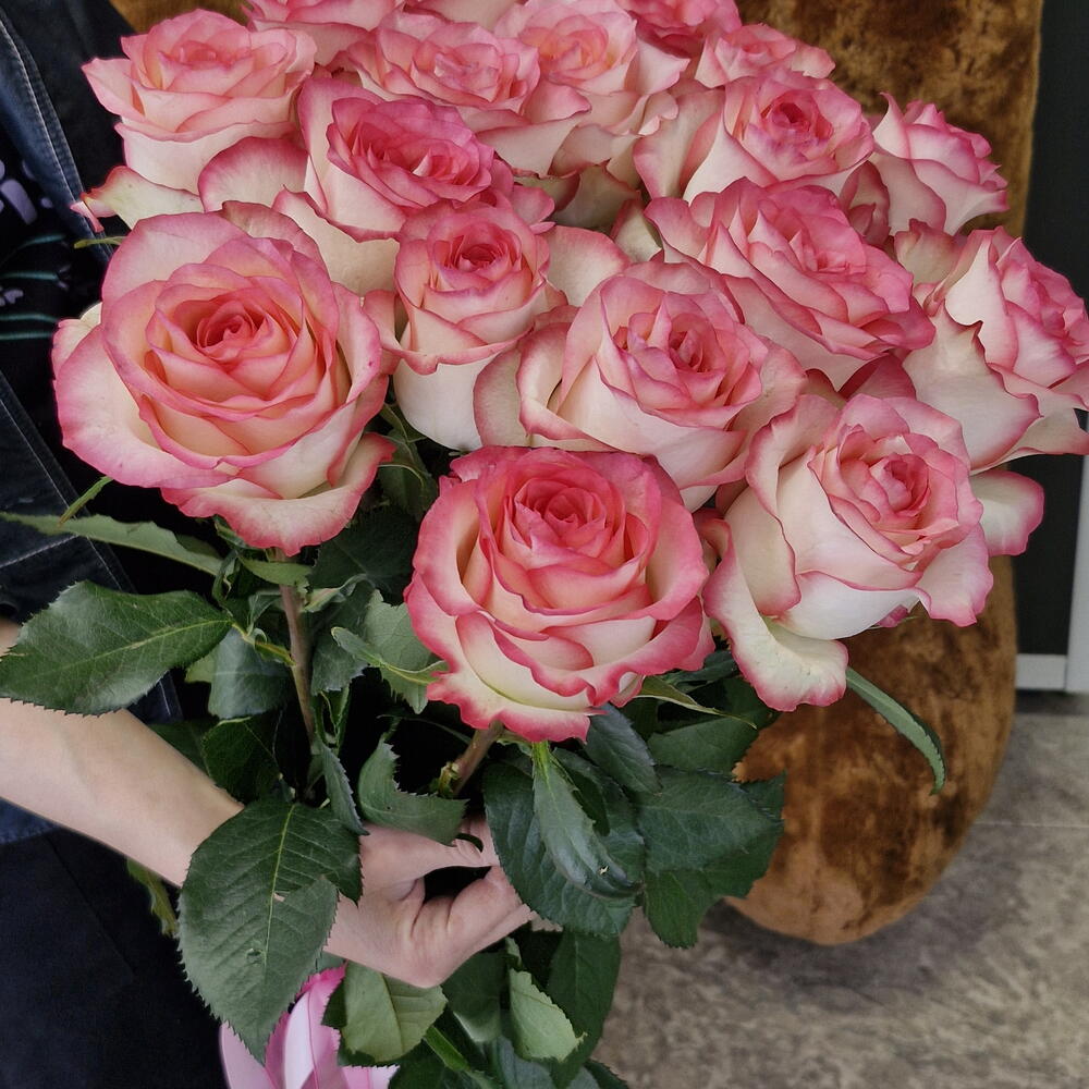 JUMILIA ROSES 25